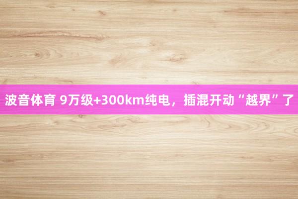 波音体育 9万级+300km纯电，插混开动“越界”了