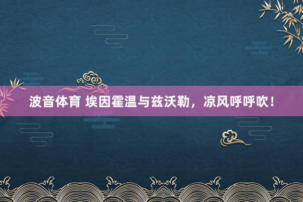 波音体育 埃因霍温与兹沃勒，凉风呼呼吹！