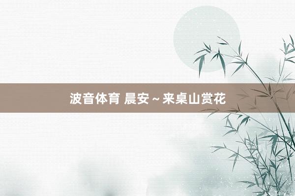 波音体育 晨安～来桌山赏花