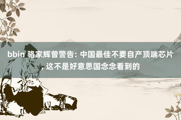 bbin 骆家辉曾警告: 中国最佳不要自产顶端芯片, 这不是好意思国念念看到的