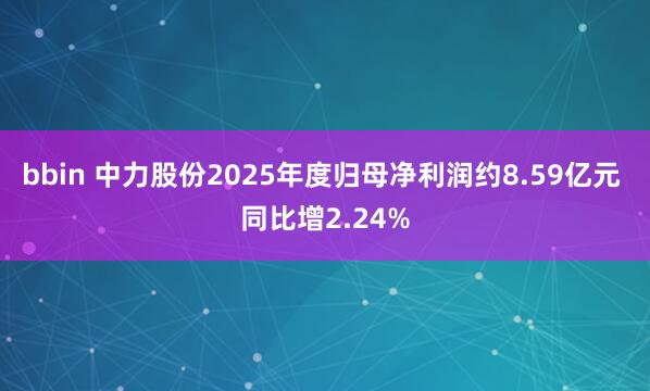 bbin 中力股份2025年度归母净利润约8.59亿元 同比增2.24%