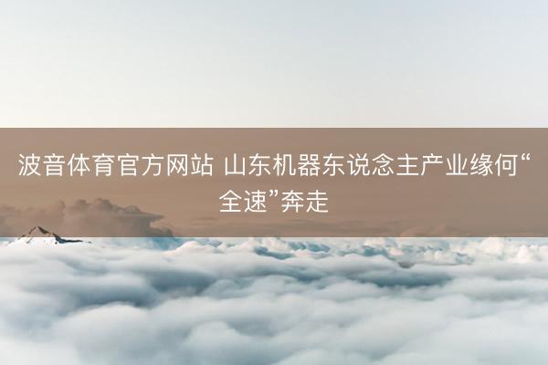 波音体育官方网站 山东机器东说念主产业缘何“全速”奔走